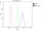 Anti-Hsp105/HSPH1 Antibody Picoband™ (monoclonal, 3D10)