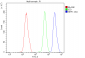 Anti-NRF1 Antibody Picoband™ (monoclonal, 2G4)