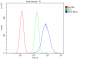 Anti-MVP Antibody Picoband™ (monoclonal, 8B12)
