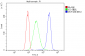 Anti-MVP Antibody Picoband™ (monoclonal, 8B12)
