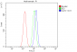 Anti-CLPX Antibody Picoband™ (monoclonal, 11C11)