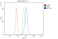 Anti-MPI Antibody Picoband™ (monoclonal, 11I4)