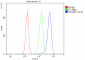 Anti-ALIX/PDCD6IP Antibody Picoband™(monoclonal, 14D10)