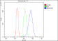Anti-Cytokeratin 18 KRT18 Antibody Picoband™(monoclonal, 7I6)
