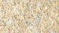Anti-GFAP Antibody Picoband™ (monoclonal, 3F2)