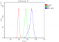 Anti-IDH1 Antibody Picoband™ (monoclonal, 16H7)