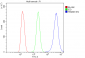 Anti-KAP1/TRIM28 Antibody Picoband™ (monoclonal, 3H2)