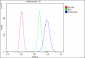 Anti-CCR2 Antibody Picoband™ (monoclonal, 8C4)