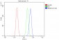 Anti-SMARCA2/BRM Antibody Picoband™ (monoclonal, 3G3)