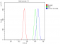 Anti-Cytochrome p450 2C19/CYP2C19 Antibody Picoband™ (monoclonal, 10G5)