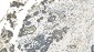 Anti-IDH2 Antibody Picoband™ (monoclonal, 6B13)