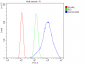 Anti-Aldolase/ALDOA Antibody Picoband™ (monoclonal, 6H8)
