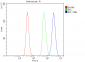 Anti-eRF1/ETF1 Antibody Picoband™ (monoclonal, 3B6)