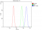 Anti-eRF1/ETF1 Antibody Picoband™ (monoclonal, 3E5)
