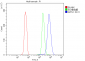 Anti-APPL/APPL1 Antibody Picoband™ (monoclonal, 5G11)