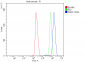 Anti-PARP/PARP1 Picoband™ Antibody (monoclonal, 10G9)