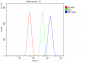 Anti-MPI Picoband™ Antibody (monoclonal, 5G5)