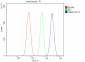 Anti-UBE3A Picoband™ Antibody (monoclonal, 3F13)