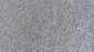 Anti-MAG Picoband™ Antibody (monoclonal, 2G11)