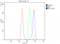 Anti-DDX1 Picoband™ Antibody (monoclonal, 3I10)