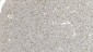 Anti-DDX1 Picoband™ Antibody (monoclonal, 2D4)