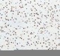 Anti-DDX1 Picoband™ Antibody (monoclonal, 11E5)