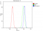 Anti-AFF4 Picoband™ Antibody (monoclonal, 8G12)