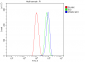 Anti-PTBP2 Picoband™ Antibody (monoclonal, 8F11)