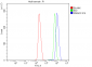 Anti-SMAD2 Antibody Picoband™ (monoclonal, 3C4)