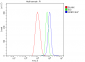 Anti-GRB10 Antibody Picoband™ (monoclonal, 5H7)