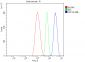 Anti-Ku70 Antibody Picoband™ (monoclonal, 9B6)