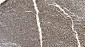Anti-Ku70 Antibody Picoband™ (monoclonal, 9B6)