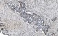 Anti-MCM6 Antibody Picoband™ (monoclonal, 10I9)