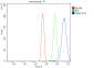 Anti-HP1 alpha/CBX5 Antibody Picoband™ (monoclonal, 8G6)