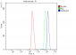 Anti-Cbx8 Antibody Picoband™ (monoclonal, 8G7)