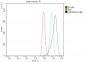 Anti-Hsp90 alpha Antibody Picoband™ (monoclonal, 6B5)