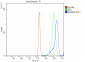 Anti-GSDMD Antibody Picoband™ (monoclonal, 6D11)