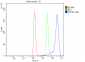 Anti-CD45 Antibody Picoband™ (monoclonal, 3H6)