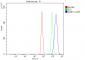 Anti-Rab11A Antibody Picoband™ (monoclonal, 4H9)