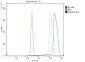 Anti-TBP-1/PSMC3 Antibody Picoband™ (monoclonal, 4D3)