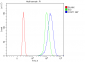 Anti-Cyclin T1 Antibody Picoband™ (monoclonal, 3B7)