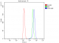 Anti-FGG Antibody Picoband™ (monoclonal, 5H9)