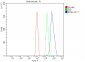 Anti-EIF4A1 Antibody Picoband™ (monoclonal, 3F11)