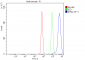 Anti-EIF4A1 Antibody Picoband™ (monoclonal, 3F11)