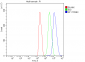 Anti-splicing factor 1 Antibody Picoband™ (monoclonal, 7D9E3)