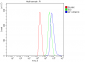 Anti-splicing factor 1 Antibody Picoband™ (monoclonal, 2F5D10)