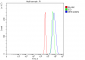 Anti-NFIB/NF1B2 Antibody Picoband™ (monoclonal, 4D6E4)