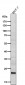 Anti-ICOS Rabbit Monoclonal Antibody