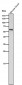 Anti-ANGPTL3 Rabbit Monoclonal Antibody