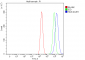 Anti-HGS Antibody Picoband™ (monoclonal, 6C2E1)